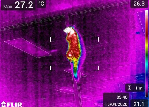 The Possum Test: How Prepared Is Your Workplace for the Unexpected?
