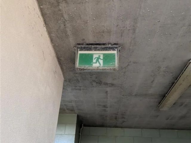 Exit Light