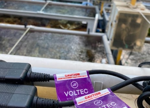 Why Should Hotels and Restaurants Prioritise Electrical Test and Tag?