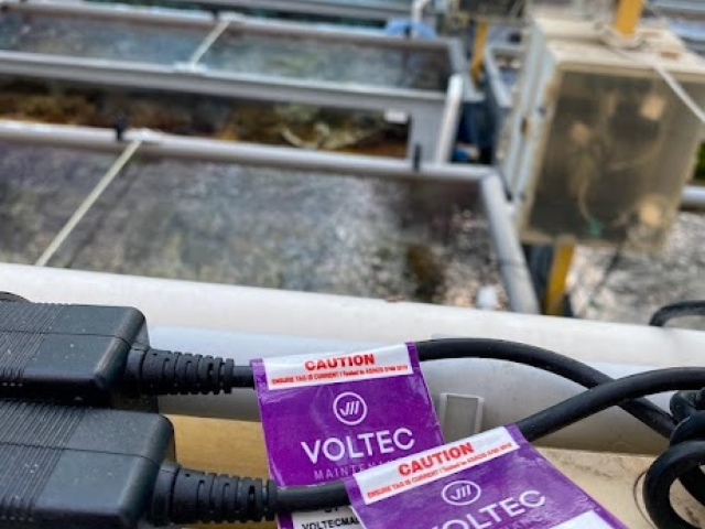 Electrical Test and Tag
